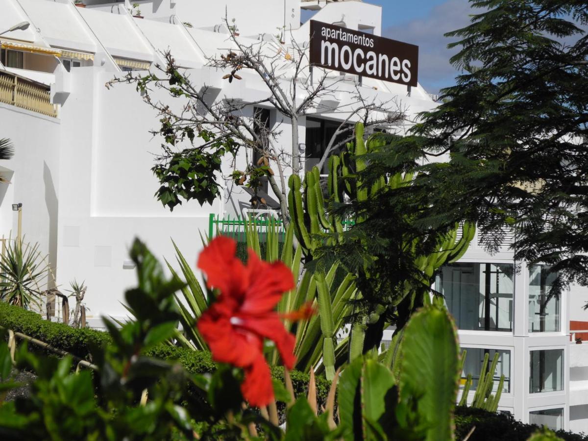 Apartamentos Los Mocanes Пуерто Рико Екстериор снимка